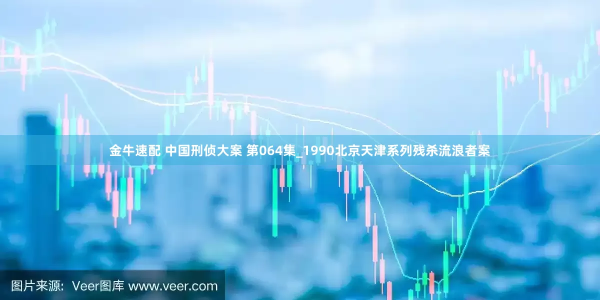 金牛速配 中国刑侦大案 第064集_1990北京天津系列残杀流浪者案