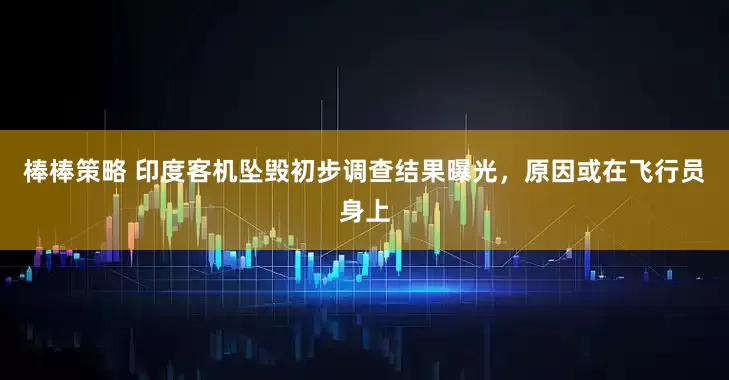 棒棒策略 印度客机坠毁初步调查结果曝光，原因或在飞行员身上