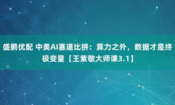 盛鹏优配 中美AI赛道比拼：算力之外，数据才是终极变量【王紫敬大师课3.1】