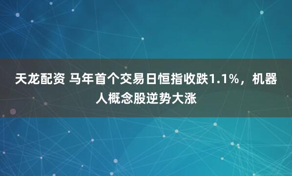 天龙配资 马年首个交易日恒指收跌1.1%，机器人概念股逆势大涨